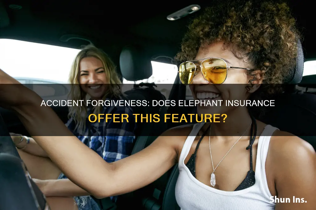 does elephant insurance have accident forgiveness