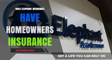 Elephant Insurance: Homeowners Insurance Options Explored