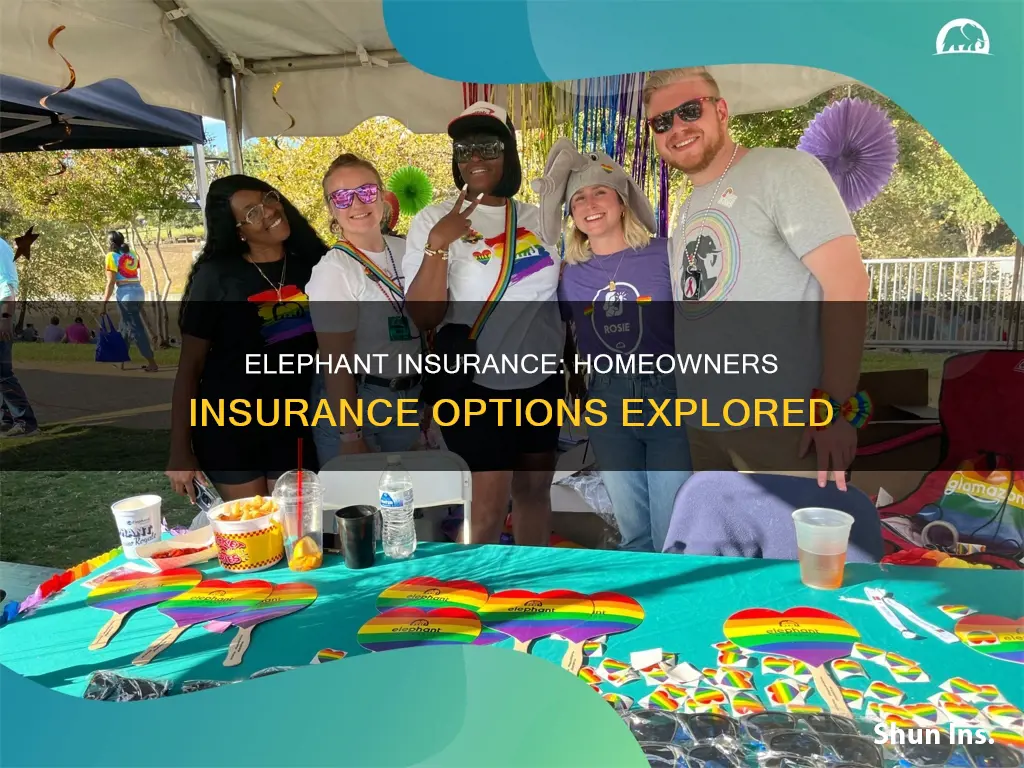 does elephant insurance have homeowners insurance