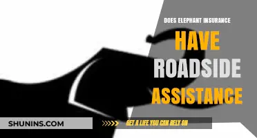 Does Elephant Insurance Offer Roadside Assistance? A Comprehensive Guide