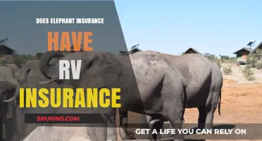 Does Elephant Insurance Offer RV Coverage? A Comprehensive Guide
