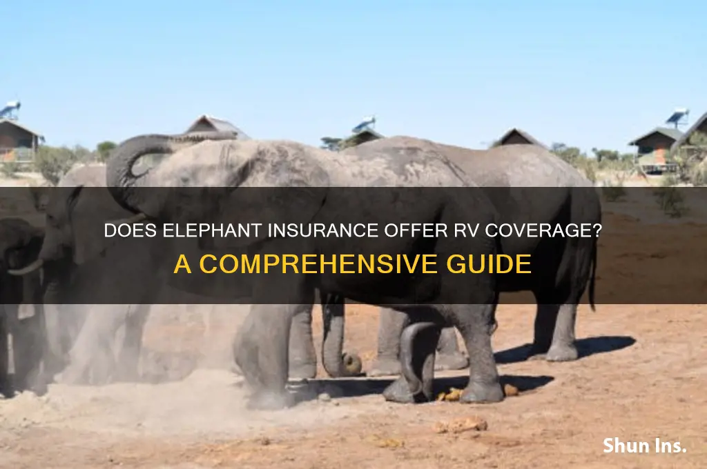 does elephant insurance have rv insurance