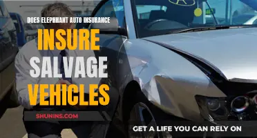 Does Elephant Auto Insurance Cover Salvage Cars?