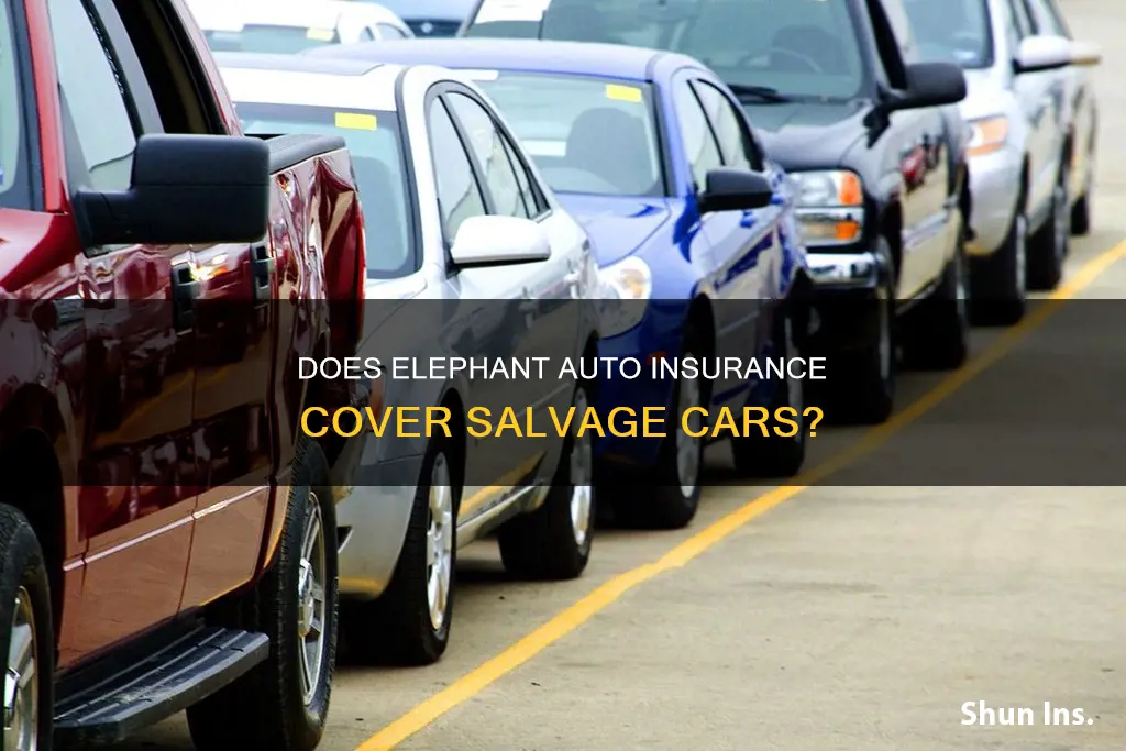 does elephhant auto insurance insure salvage vehicles