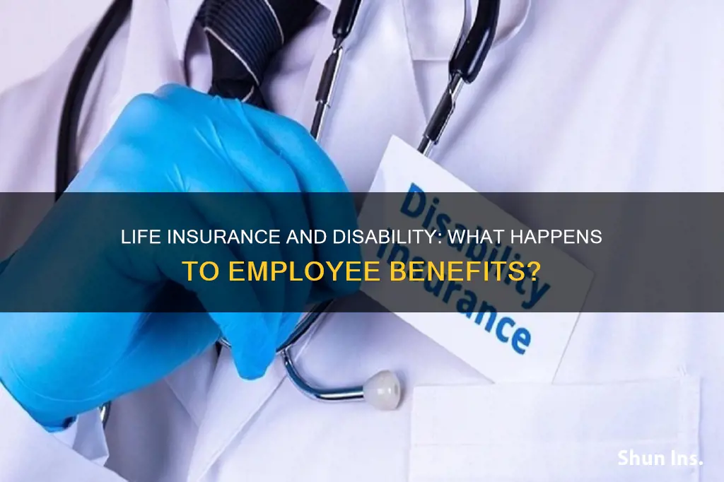 does employee life insurance continue after disability