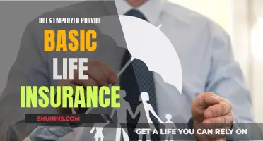 Basic Life Insurance: What Employers Provide and Why