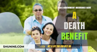 Understanding Endowment Insurance: Death Benefits and Policy Features Explained