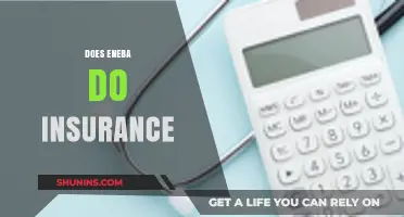 Does Eneba Offer Insurance? Exploring Coverage Options for Gamers