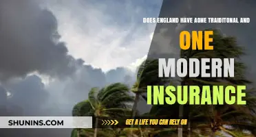 England's Insurance Landscape: Traditional vs. Modern Policies Explained