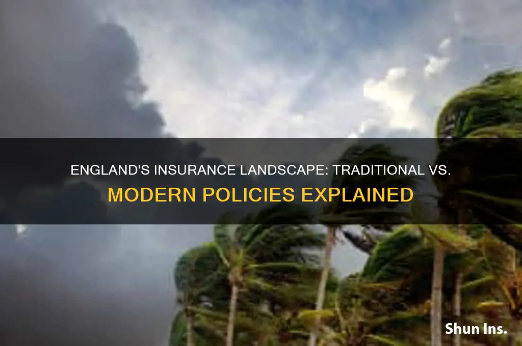 does england have aone traiditonal and one modern insurance