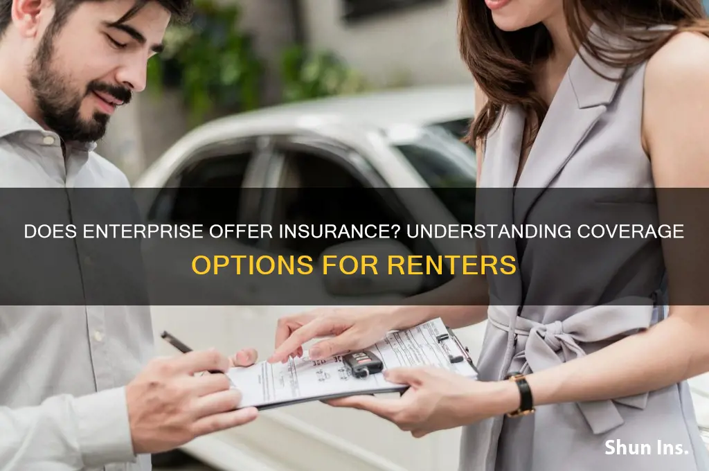 does enterpise have insurance