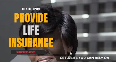 Life Insurance: Enterprise's Offerings and Employee Benefits