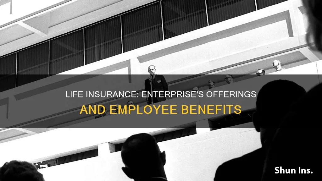 does enterprise provide life insurance