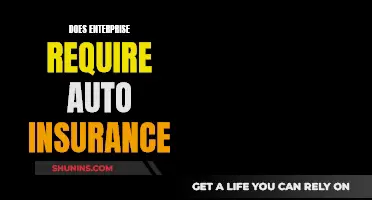 Enterprise Auto Insurance: Understanding the Requirements