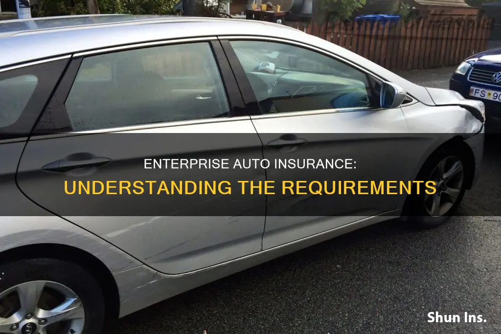 does enterprise require auto insurance