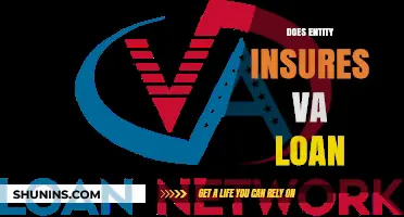 Does the Entity Insure VA Loans? Understanding Coverage and Benefits