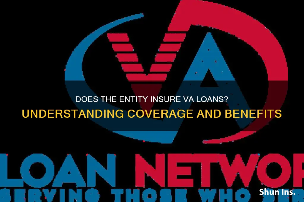 does entity insures va loan