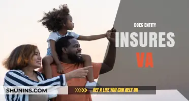 Does Entity Insurance Cover VA Benefits? Understanding Your Coverage Options