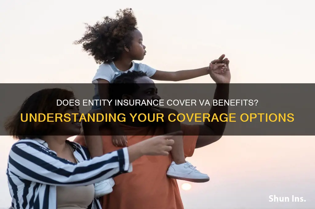 does entity insures va