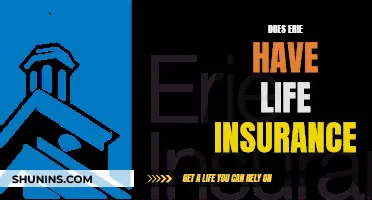 Erie Life Insurance: What You Need to Know