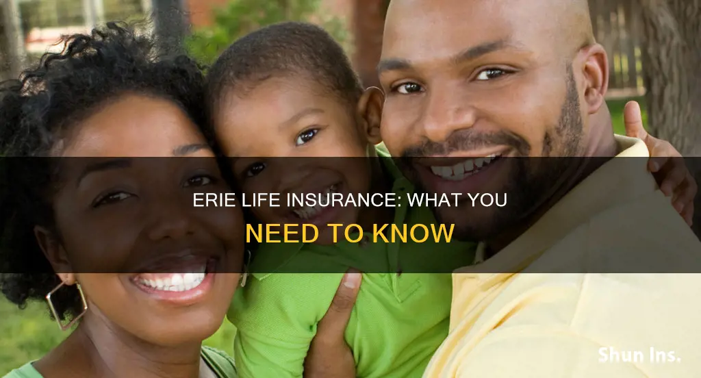 does erie have life insurance