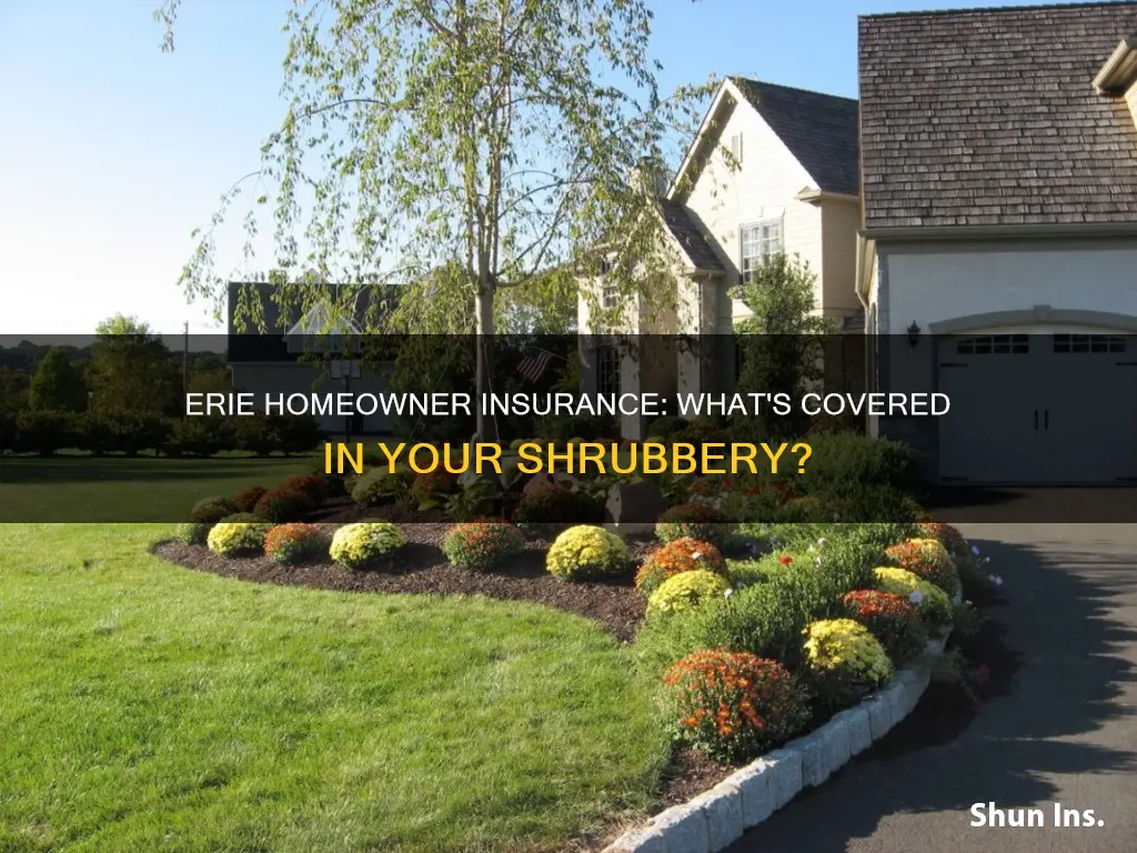 does erie homeowner insurance cover shrubbery