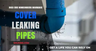 Erie Homeowners Insurance: What's Covered for Leaking Pipes?