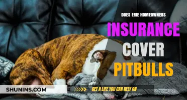 Erie Homeowners Insurance: Pitbull Coverage Explained