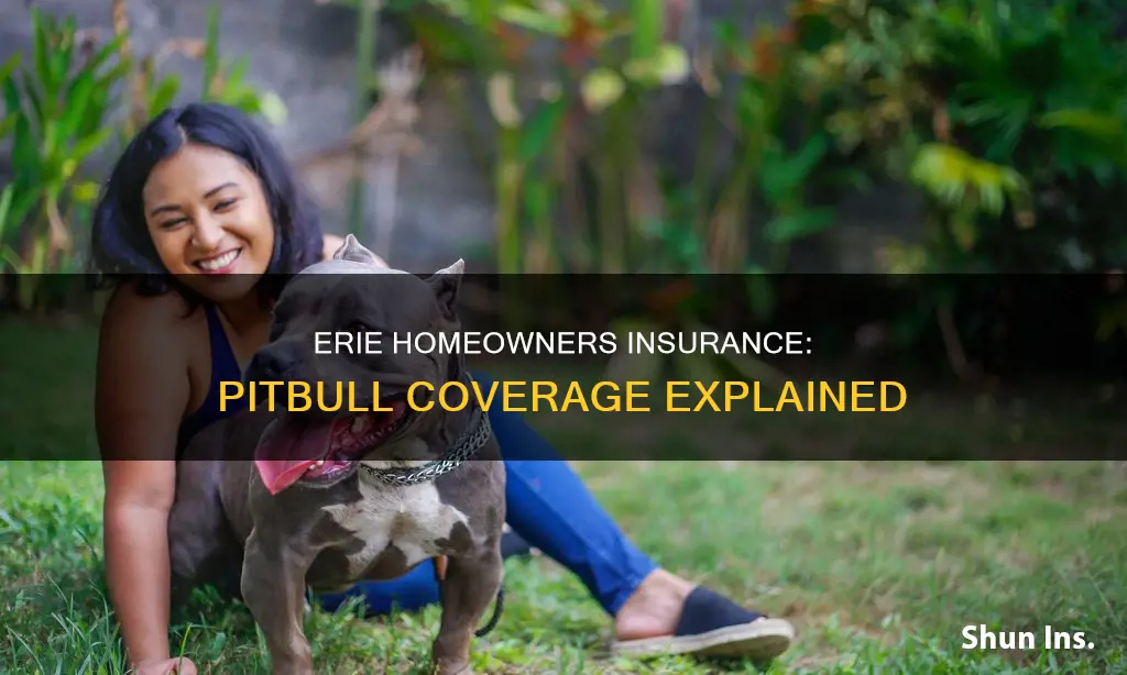 does erie homeowners insurance cover pitbulls