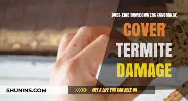 Erie Homeowners Insurance: Does It Cover Termite Damage?