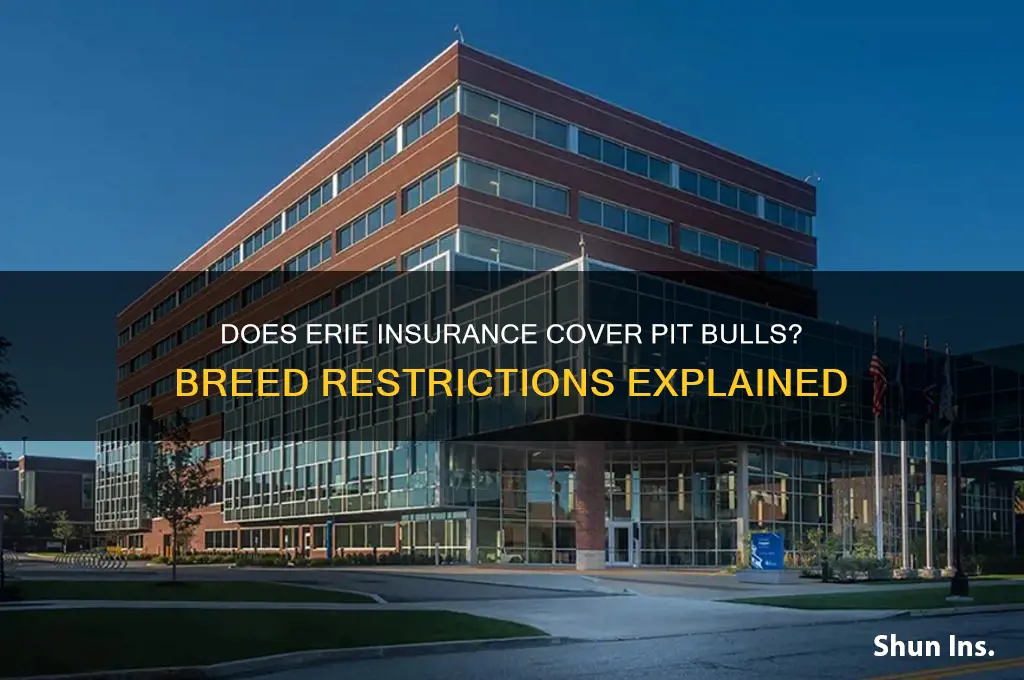 does erie insurance allow pit bulls