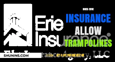 Does Erie Insurance Cover Trampolines? A Comprehensive Policy Review