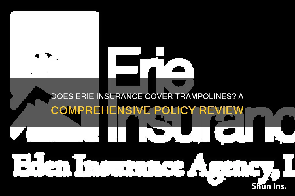 does erie insurance allow trampolines