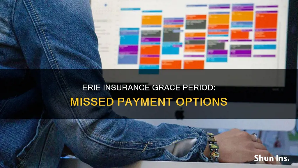 does erie insurance have a grace period on payments