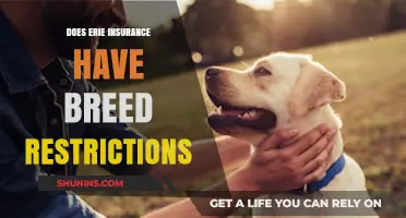 Does Erie Insurance Impose Breed Restrictions on Dog Owners?