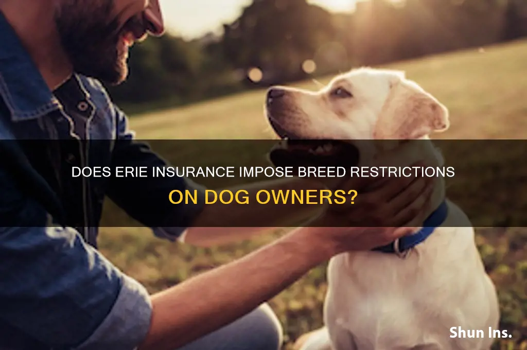 does erie insurance have breed restrictions