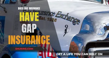 Erie Insurance: Gap Insurance Coverage