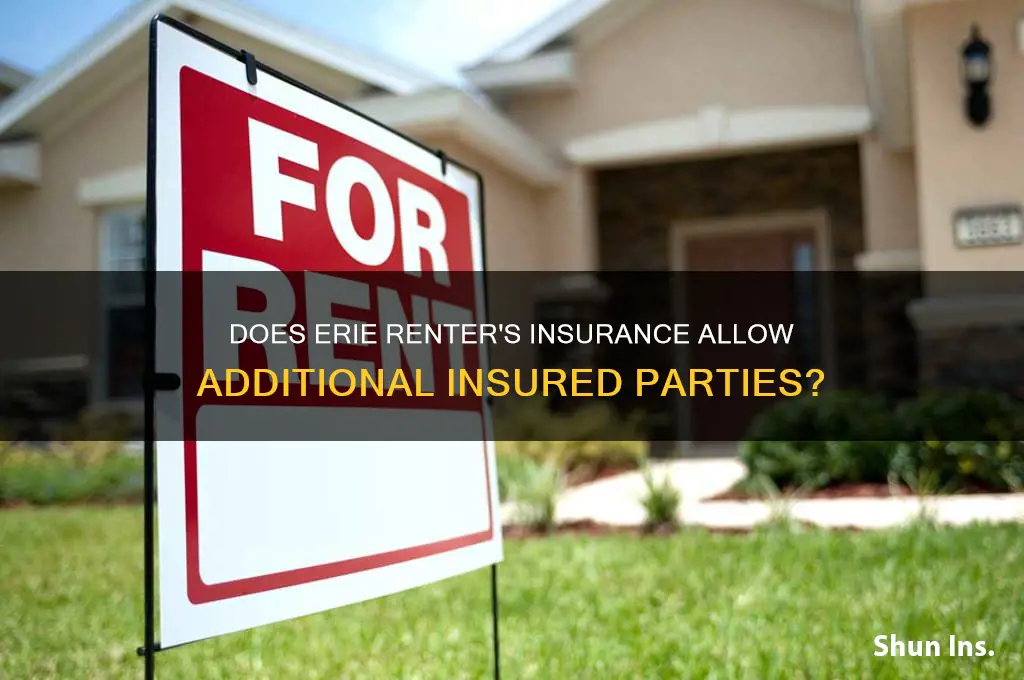 does erie list additional insured on renter