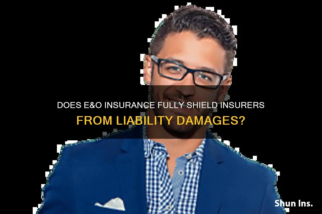 does error & omission insurance fully remove insurer from damages
