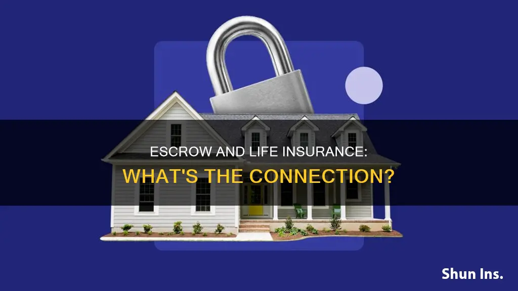 does escrow include life insurance