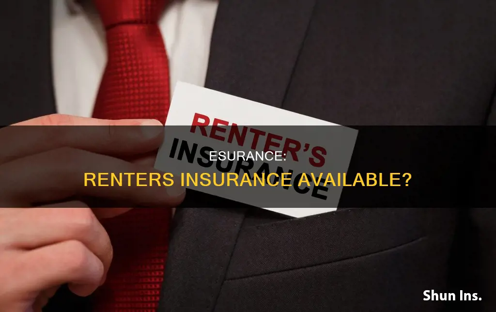 does esurance carry renter