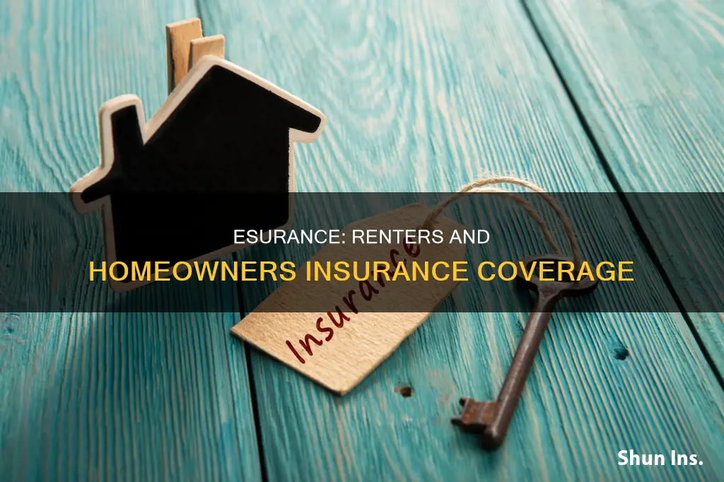 does esurance cover rental homeowners insurance