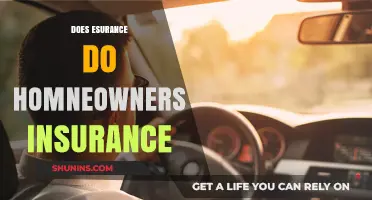 Does Esurance Offer Homeowners Insurance? A Comprehensive Coverage Guide