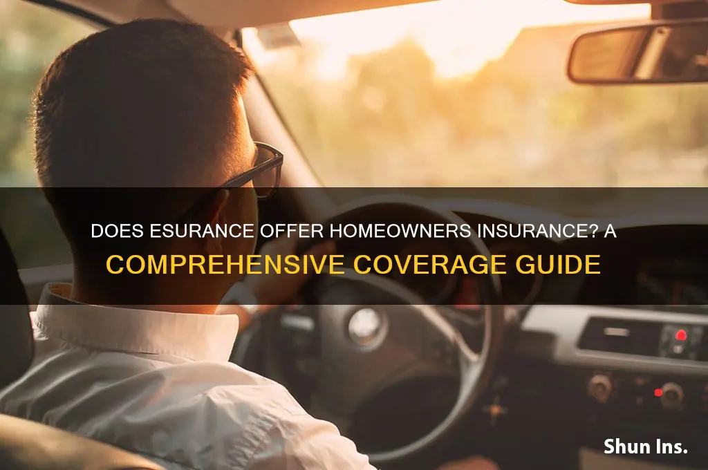 does esurance do homneowners insurance