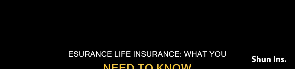 does esurance do life insurance