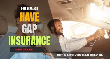 Esurance: Gap Insurance Coverage