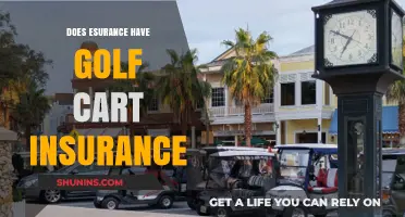 Does Esurance Offer Golf Cart Insurance? Coverage Options Explained