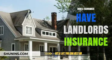 Does Esurance Offer Landlord Insurance? A Comprehensive Coverage Guide