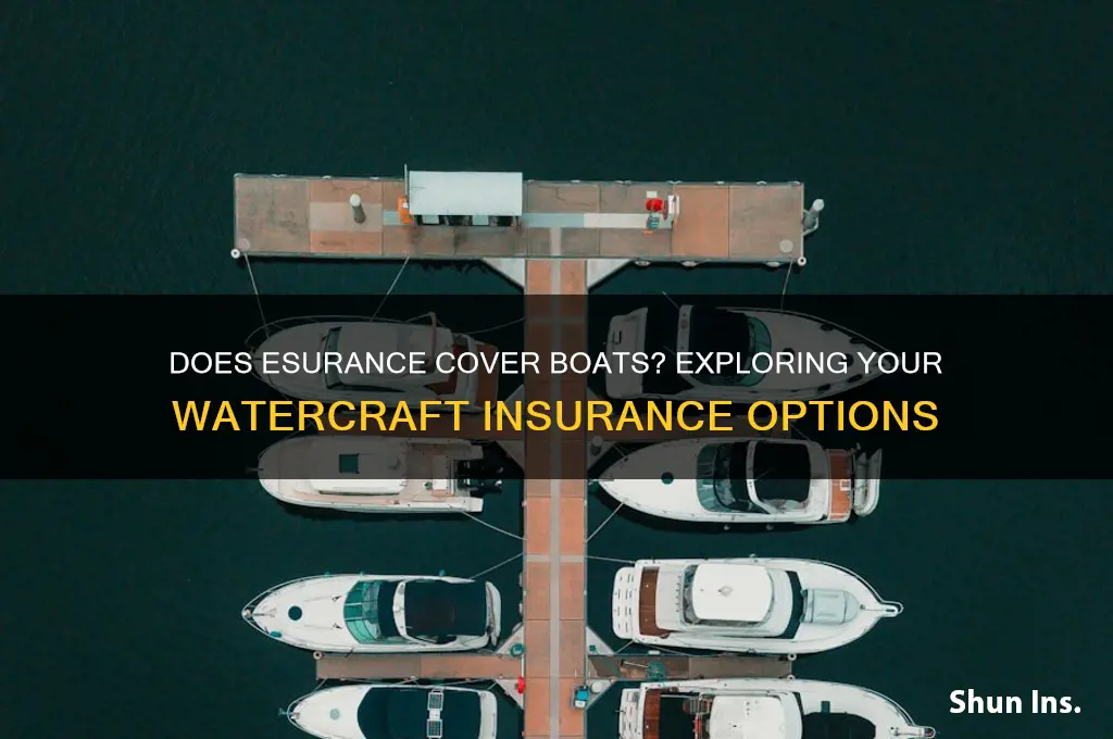 does esurance insure boats