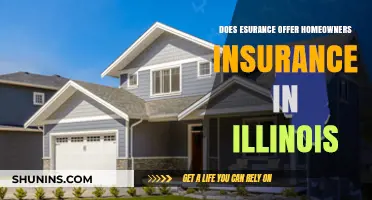 Esurance: Homeowners Insurance in Illinois?
